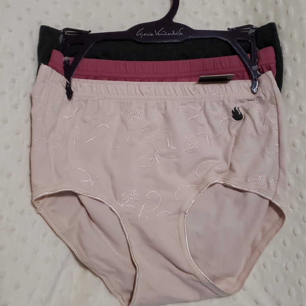 NWT Gloria Vanderbilt briefs